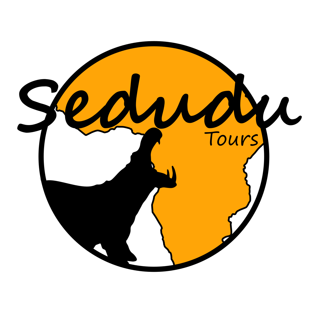 Sedudu Tours